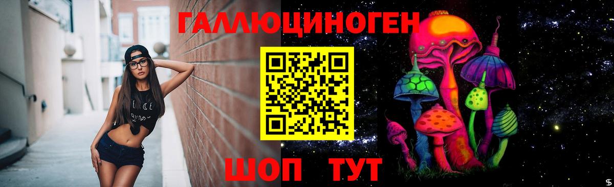Псилоцибиновые грибы Psilocybine cubensis Северск